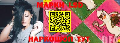 гидра Шахты