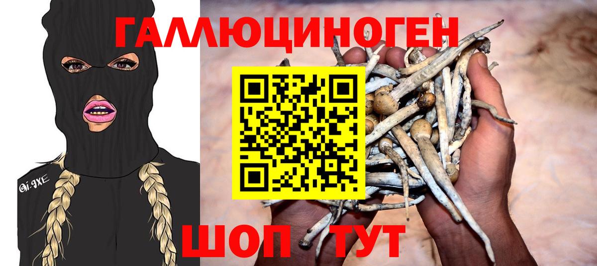 Галлюциногенные грибы Magic Shrooms Кумертау